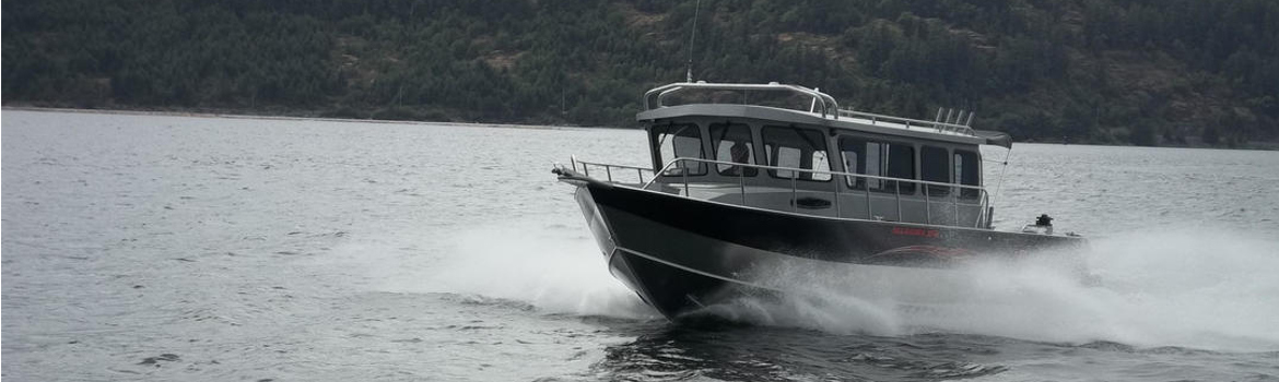 2018 Raider Sea Cuddy 2696 for sale in Boat Country, Everett, Washington